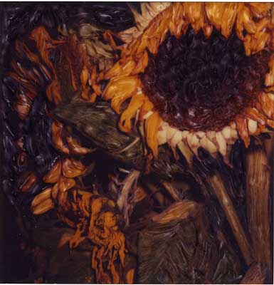 Photograph of Sunflowers by Ann Clancy